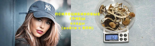 стаф Баксан