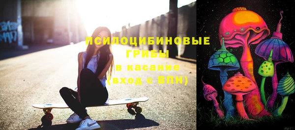стаф Баксан