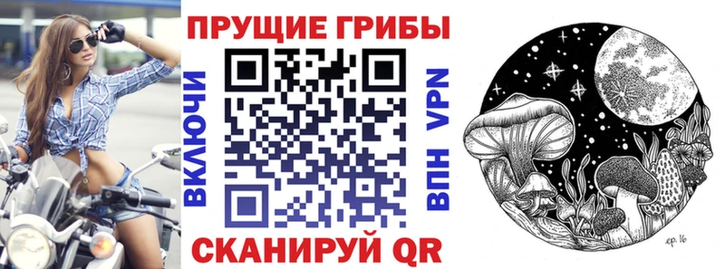Галлюциногенные грибы GOLDEN TEACHER  Великие Луки 